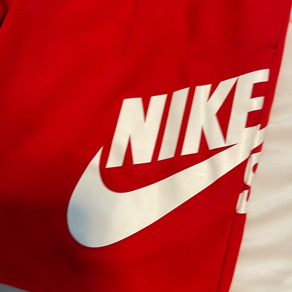 Nike SB Shorts